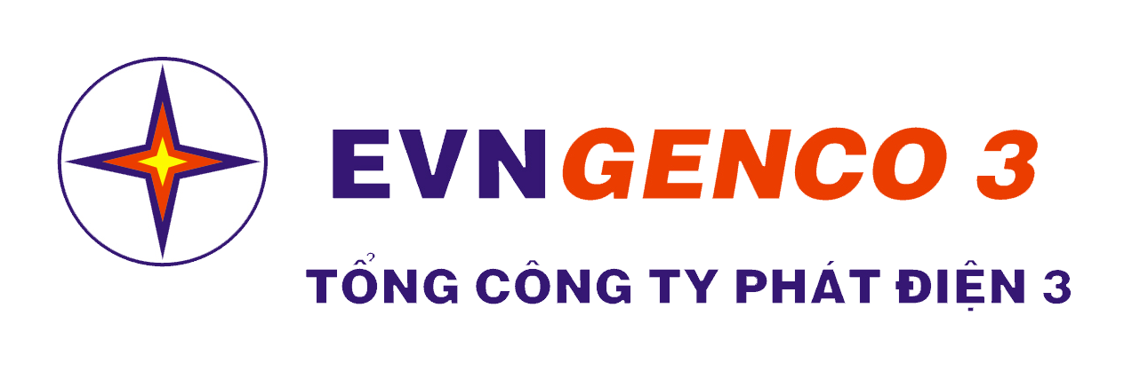 Báo cáo tài chính Hợp Nhất giữa niên độ kết thúc ngày 30/6/2020 của Tổng Công ty Phát điện 3