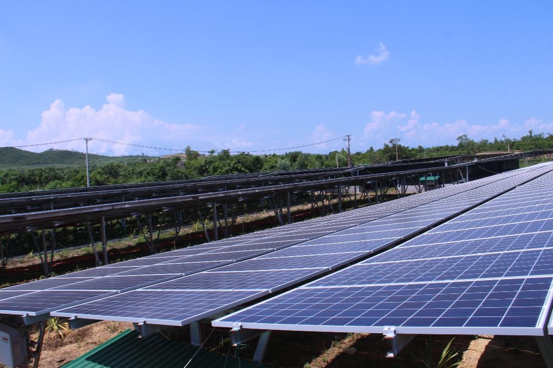 Bản tin EVN số 46 năm 2020